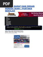 Download SISTEM SARAF DAN ORGAN PERASA IKANdocx by dafa051 SN146440397 doc pdf