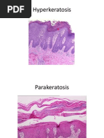 K - 2 Gambar Histopatologi (Ilmu Penyakit Kulit-Kelamin)