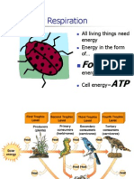 Cellular Respiration: Food ATP