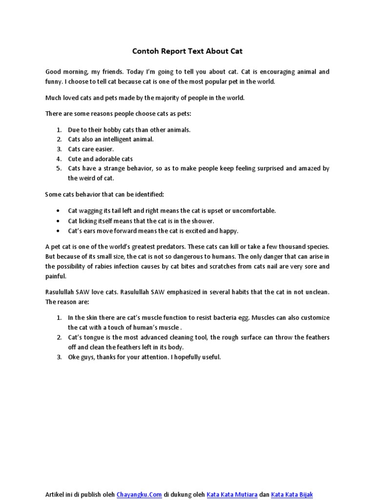 Contoh Report Text About Cat