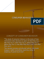 22300725 Consumer Behaviour Models