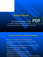 Región Dorsal - Dr. Enriquez