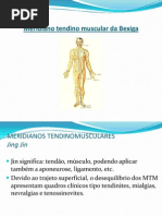 Trabalho Meridianos Bexiga