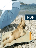 Perro Tomando Sol Imagen11