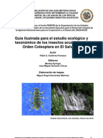 Guia Coleoptera Acuaticos El Salvador PDF