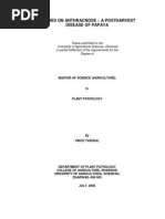 Download 2008 THESIS Study on Anthracnose - A PH Disease of Papaya by jihedward SN146507679 doc pdf