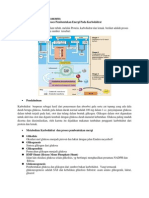 50.proses Pembentukan Energi Pada Karbohidrat