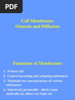 Cell Membranes Osmosis and Diffusion