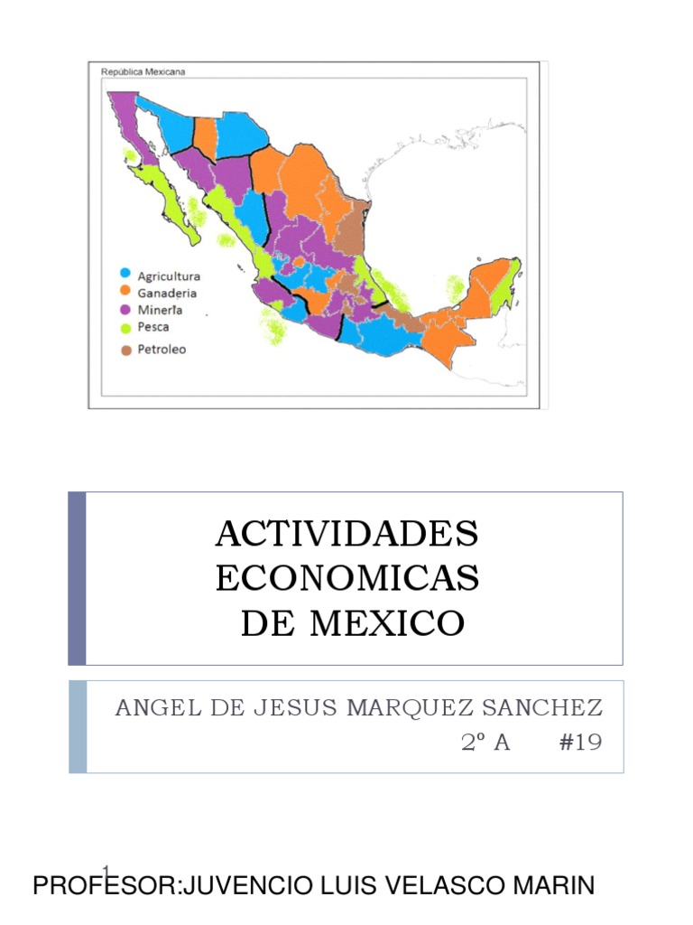 Actividades Económicas en México | PDF | Turismo | Comercio