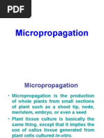 Download Micro Propagation by Nasir Hussain Faraz SN14654373 doc pdf