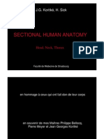 Sectional Human Anatomy