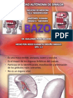 Bazo 111205211433 Phpapp02
