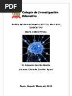Bases Neuropsicologicas y El Proceso Educativo Clori Mapa