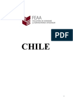Chile in Economia Internationala