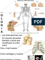 Anatomia 2