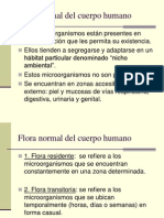 Fora Normal PowerPoint