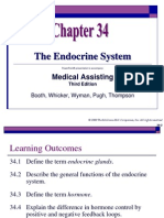 Chapter 34 The Endocrine System
