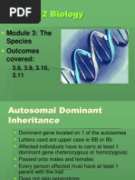 1 class exam essay 7th Patterns Test: Dominance 12 Chapter of Inheritance 1 class exam essay 7th Patterns Test: Dominance 12 Chapter of Inheritance
