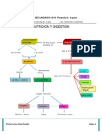 Nutricion y Digestion