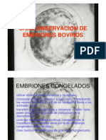 Crioconservación embriones bovinos