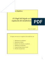 5 Regulacion Hepatica Del Metabolismo PDF