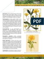 Adulteracion Arnica Montana Con Heterotheca Inuloides