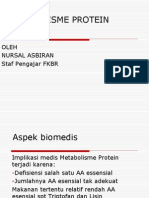 Metabolisme Protein 1