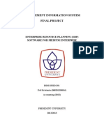 Management Information System Final Project: Enterprise Resource Planning (Erp) Software For Medium Enterprise