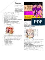 Nursing in Dermatologie Poze