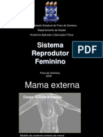 Sistema Reprodutor Feminino