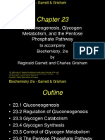 Gluconeogenesis. Glycogen Metabolism, and The Pentose Phosphate Pathway