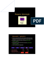 adrenergic-dopamine-receptor.pdf