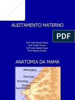 Aleitamento Materno PDF (2)