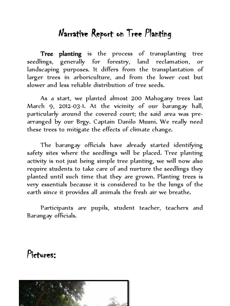 Narrative Report On Tree Planting Pdf