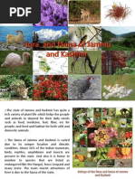 Download Flora  and fauna of jammu and kashmirpptx by Joseph Sabu SN146705898 doc pdf