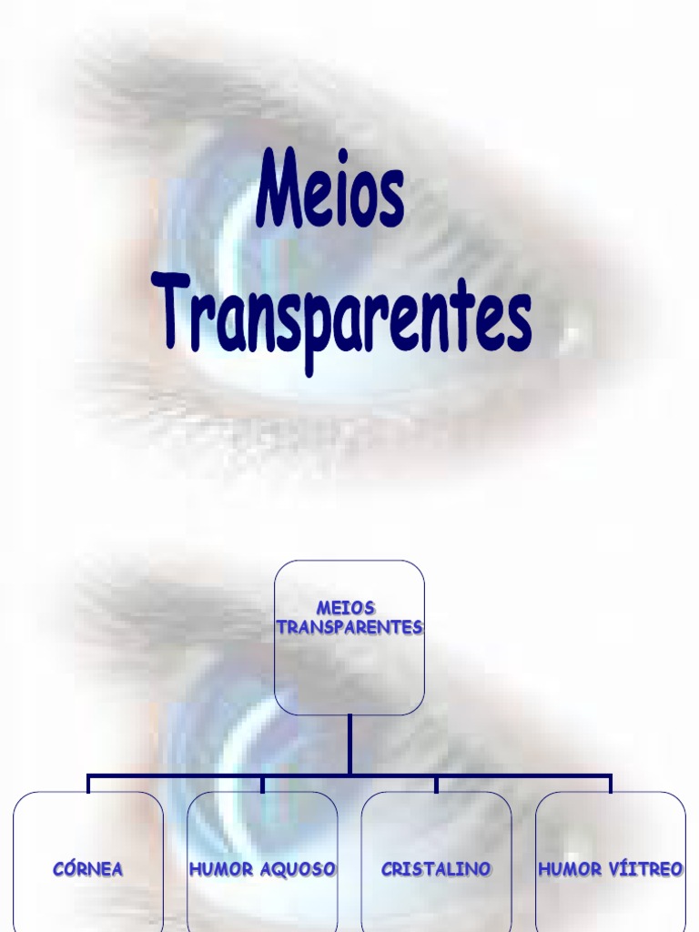 Diferencie Meios Transparentes De Translúcidos E Exemplifique