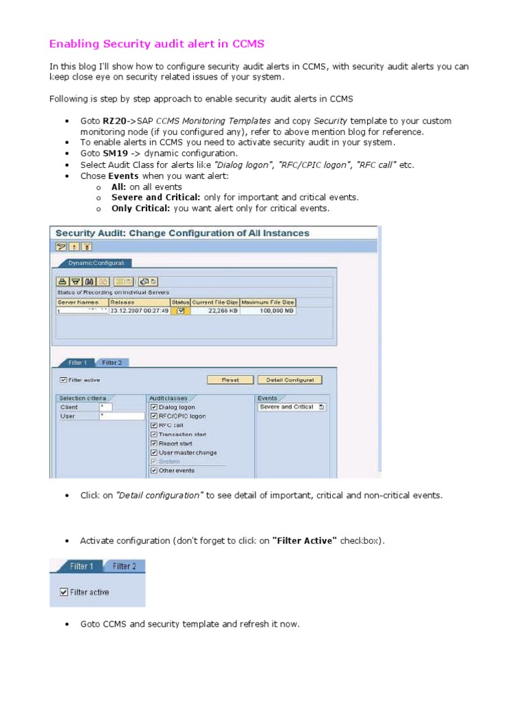 CCMS Security Alerts Setup Guide | PDF