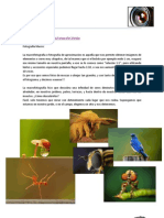 Fotografía PDF