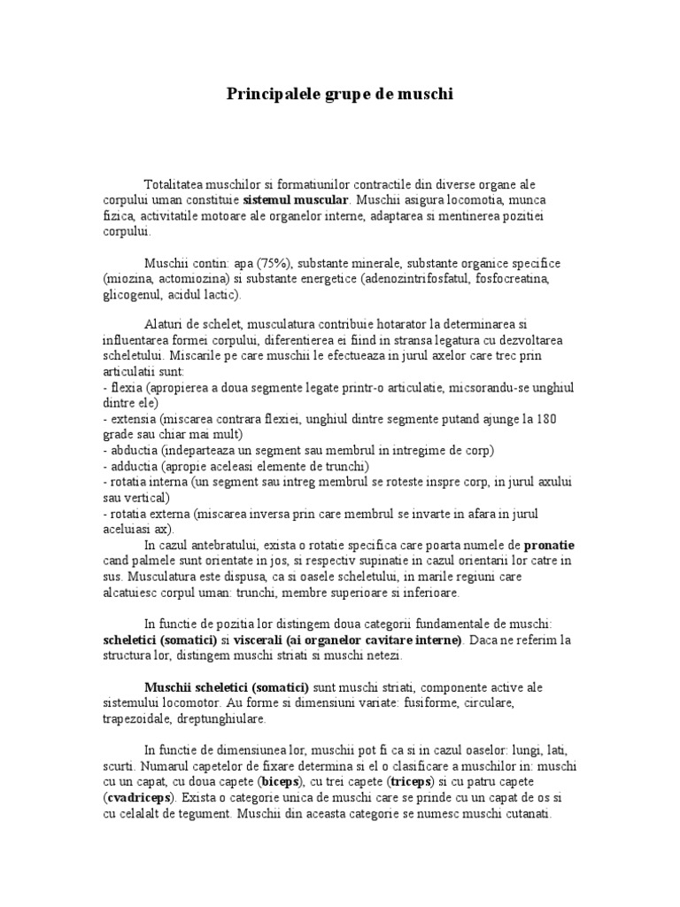 Muschi | PDF