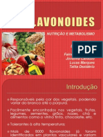 FLAVONÓIDES_ATUAL