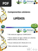 lipidios-120326184918-phpapp02.pptx
