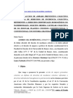 Acción de amparo contra la ley de medidas cautelares