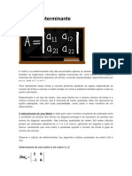 Determinant e