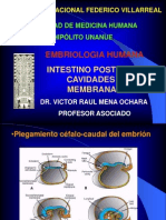 Intestino Posterior Cavidades y Menbranas Dr. Raul Mena