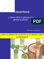 1 M - Fotos Ntesis y Nutricion en La Planta y Respiracion Celular