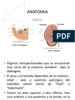 ANATOMIA