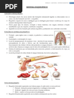 SISTEMA ESQUELÉTICO