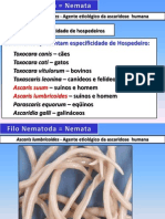 NematodaAscaris PDF
