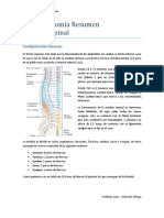 Neuroanatomía Resumen Medula Espinal - Cristhián Jerez y Marcelo Ortega