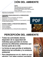 percepcin-del-ambiente-1224006680711082-9.ppt